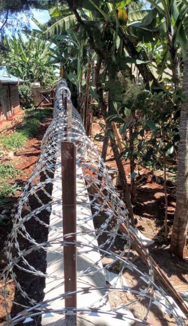 Double Razor Wire Double Galvanized Silver Razor Wire 450MM 10M – Carovault Security ...
